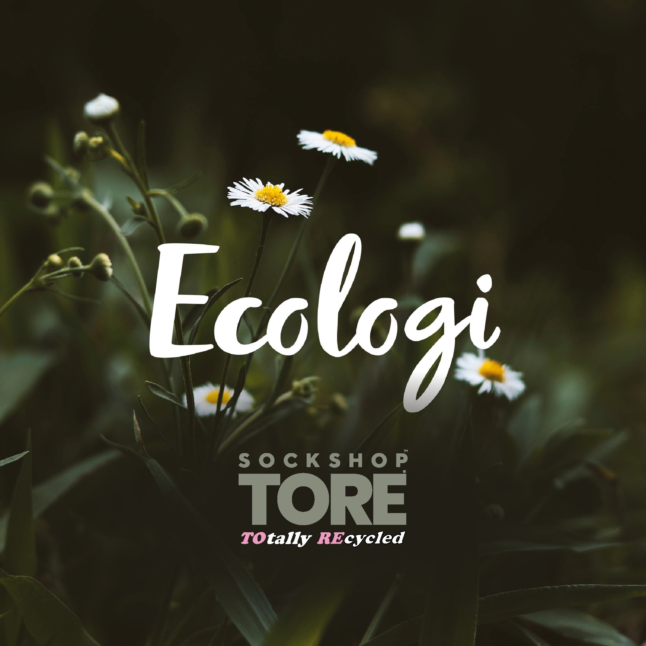 Tore Socks partners up with Ecologi